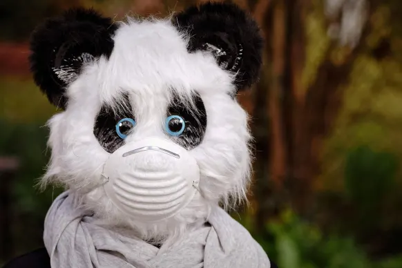 БитРийлс Казино Поддръжка